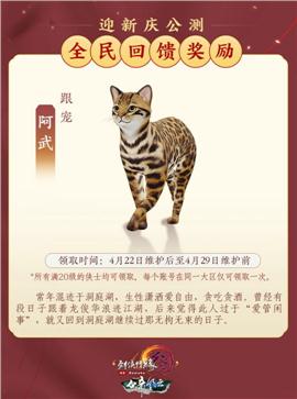 天龙八部私服打架视频